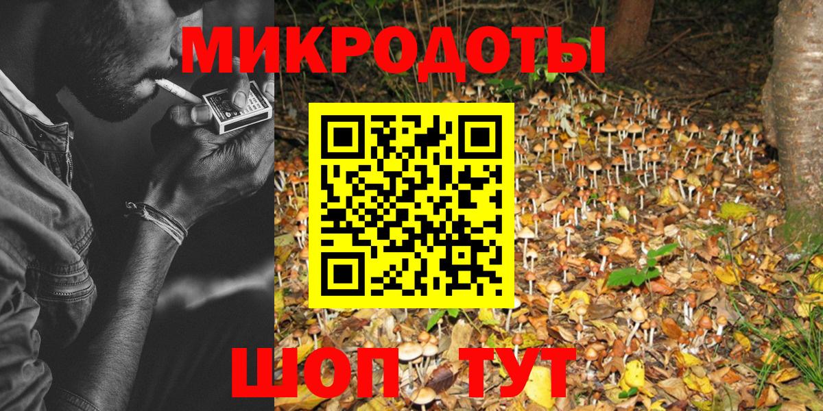 Галлюциногенные грибы Cubensis Верхняя Пышма